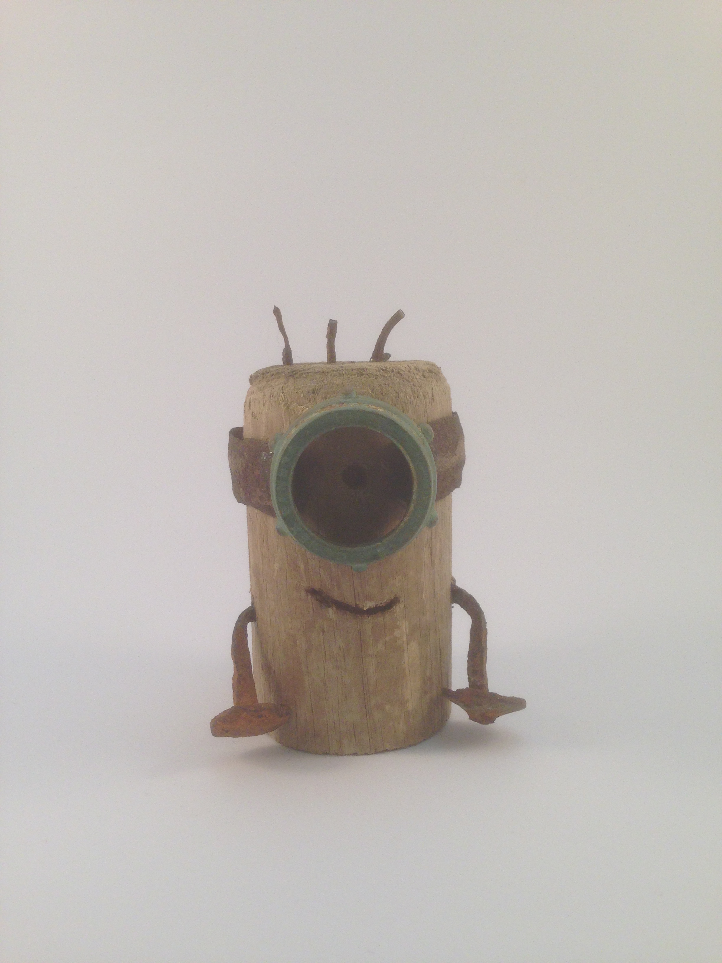 Minion 1