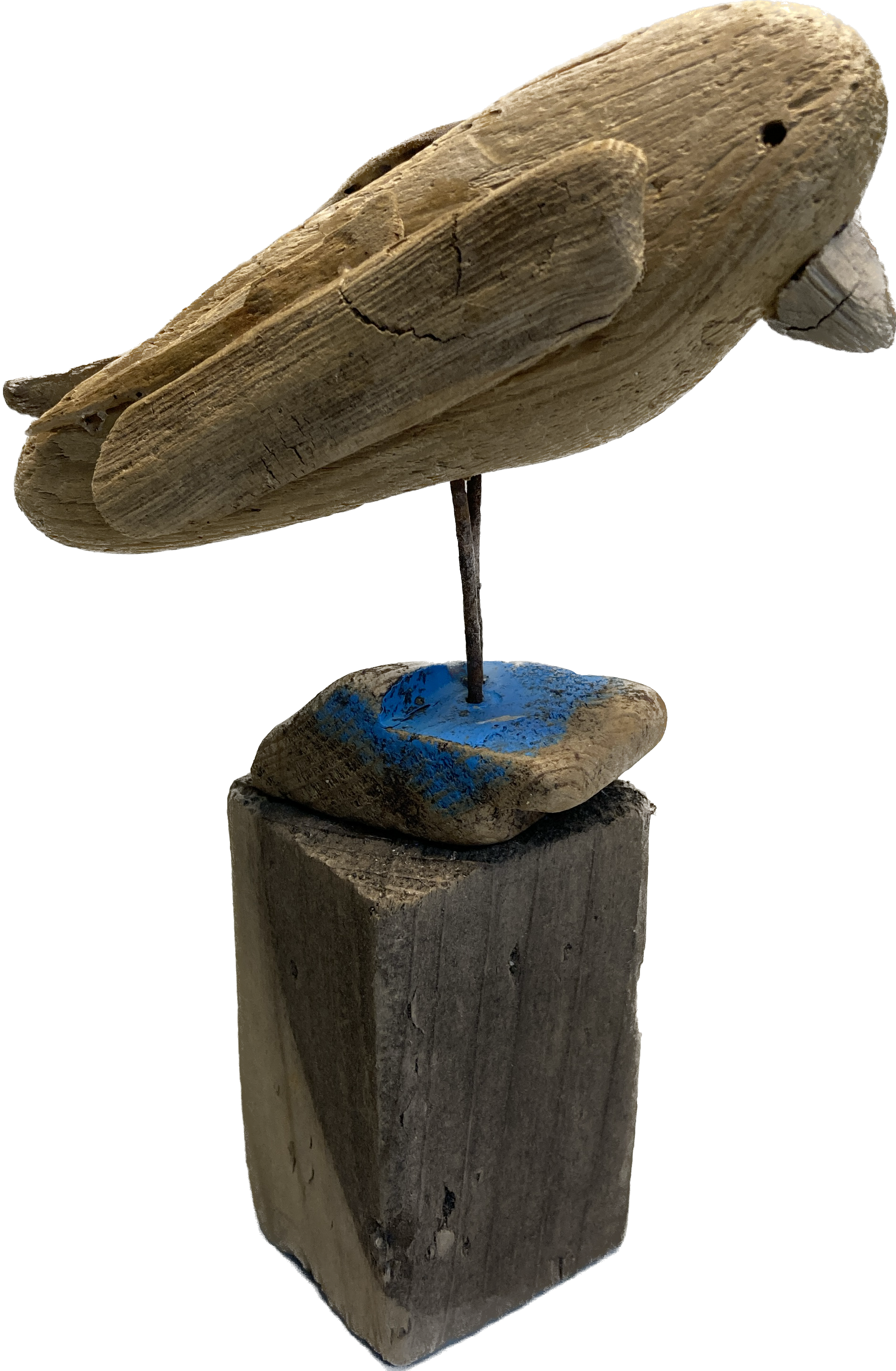 Sparrow