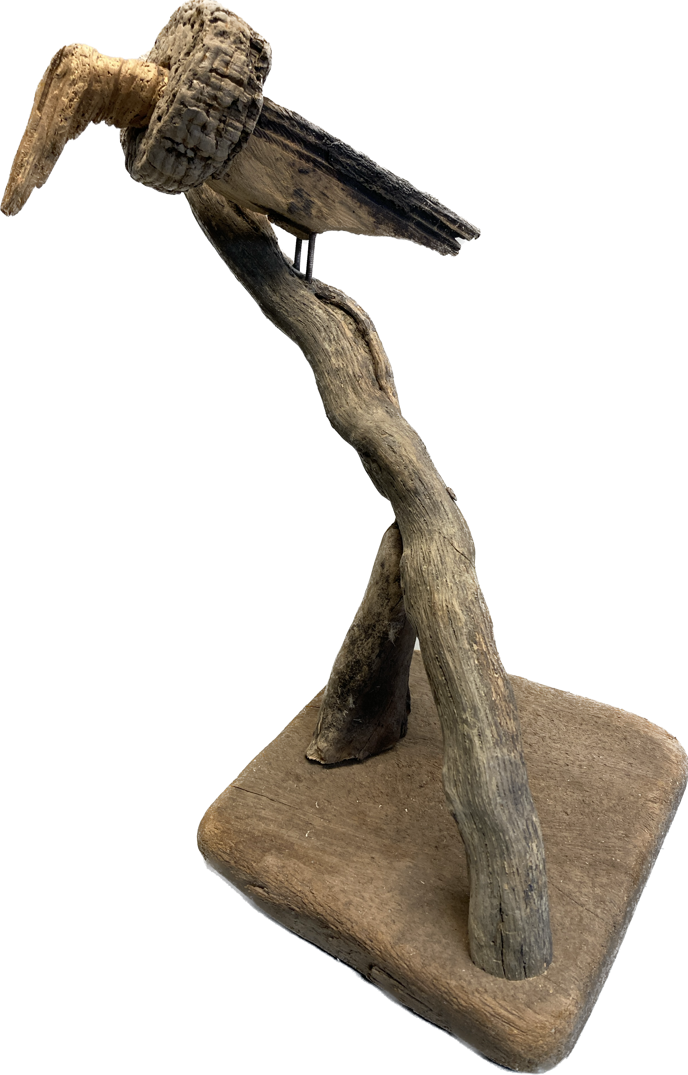 Vulture
